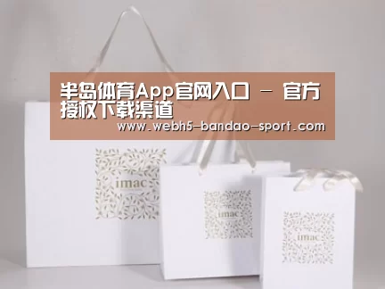 项目名称十一