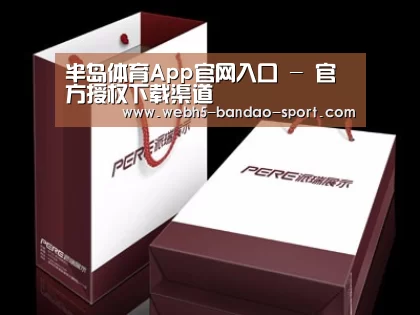项目名称十二