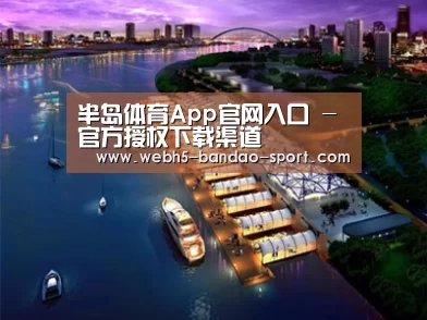 案例展示八