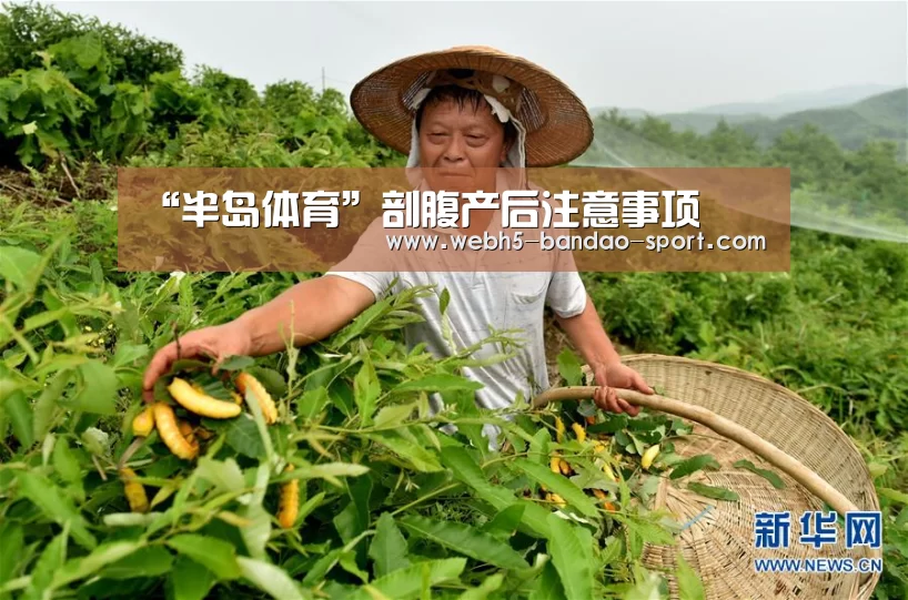 半岛体育官网