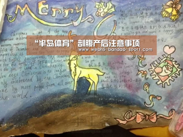 半岛体育
