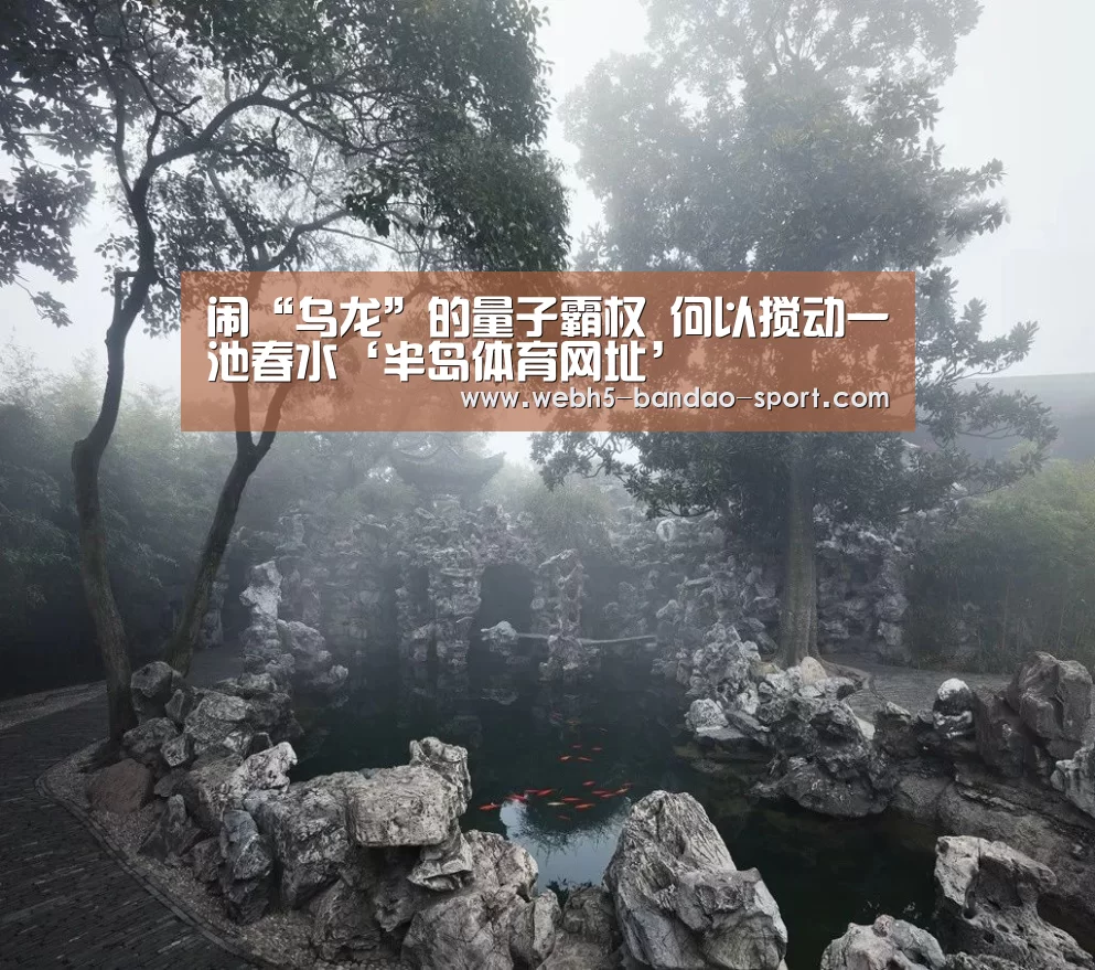 闹“乌龙”的量子霸权 何以搅动一池春水‘半岛体育网址’(图1) 半岛体育官网