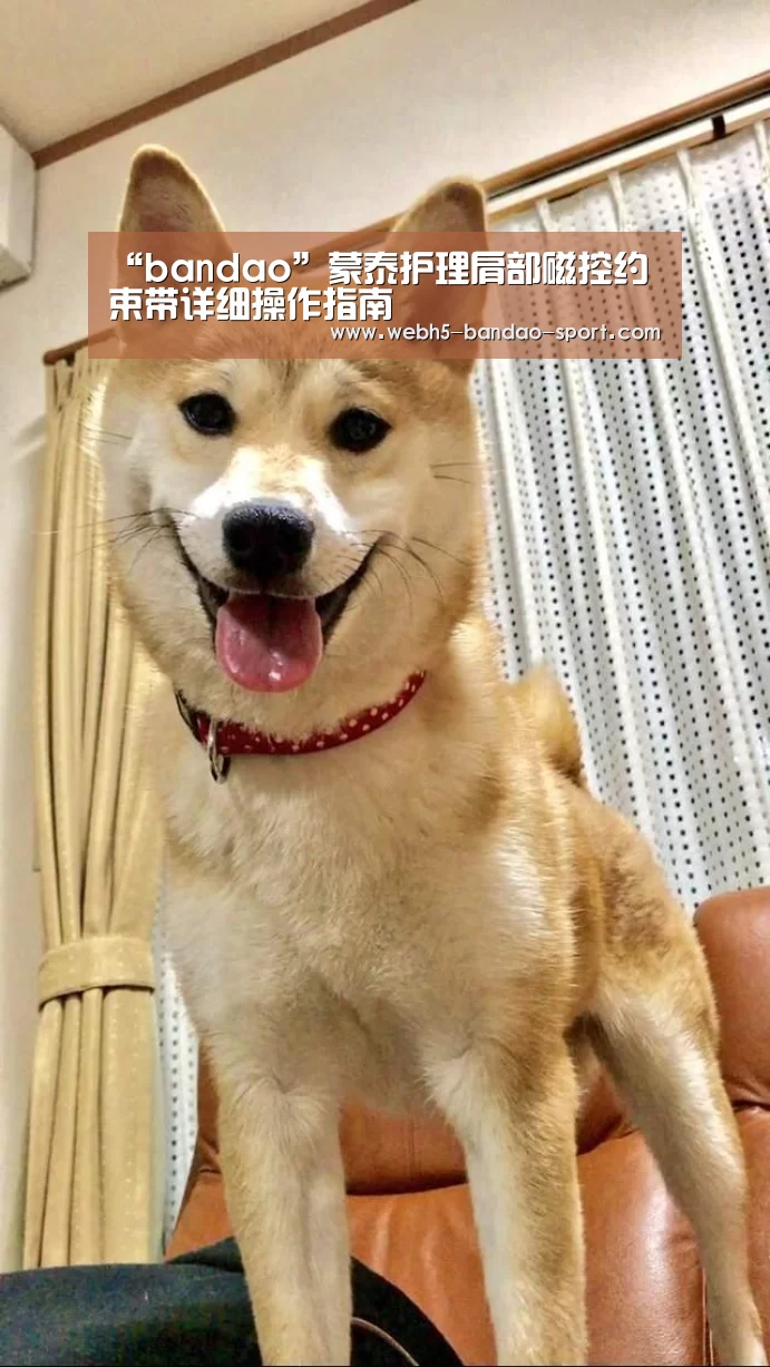 “bandao”蒙泰护理肩部磁控约束带详细操作指南(图2)