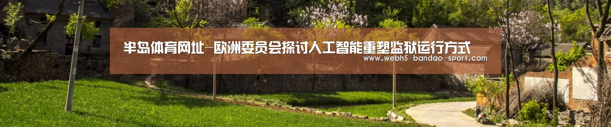 半岛体育网址-欧洲委员会探讨人工智能重塑监狱运行方式(图1) 半岛体育