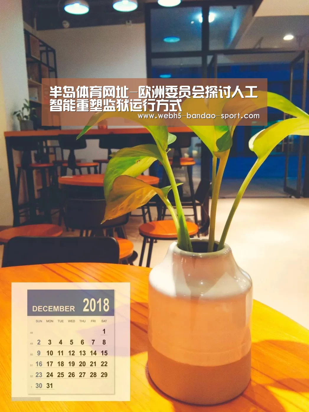 半岛体育网址-欧洲委员会探讨人工智能重塑监狱运行方式(图2) 半岛体育