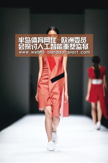 半岛体育网址-欧洲委员会探讨人工智能重塑监狱运行方式(图3) 半岛体育