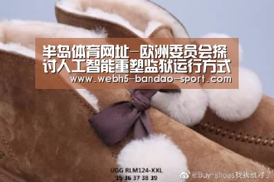 半岛体育网址-欧洲委员会探讨人工智能重塑监狱运行方式(图4) 半岛体育官网
