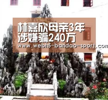 半岛体育官网