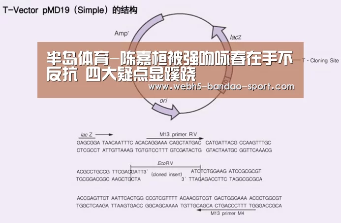 半岛体育网址