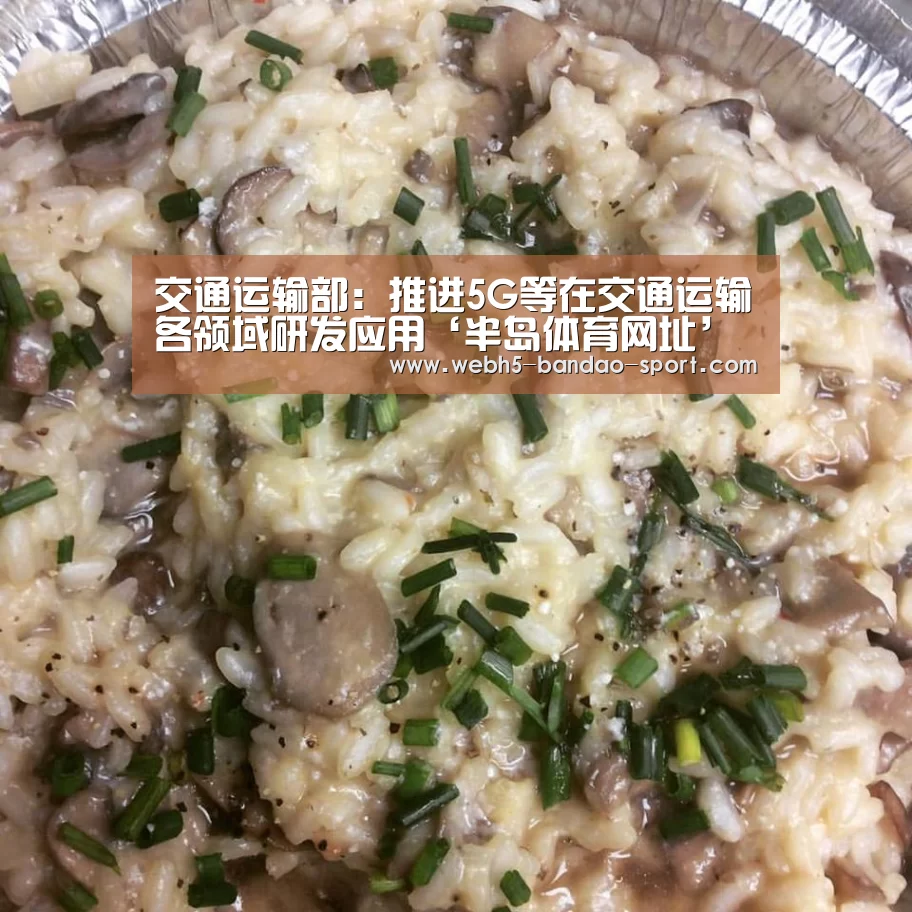 交通运输部:推进5G等在交通运输各领域研发应用‘半岛体育网址’(图4) 半岛体育