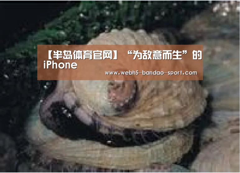 【半岛体育官网】“为敌意而生”的iPhone(图2) 半岛体育